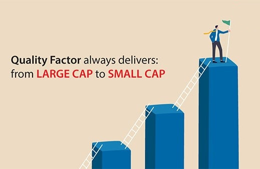 Quality Factor Always Delivers: From Large Cap to Small Cap